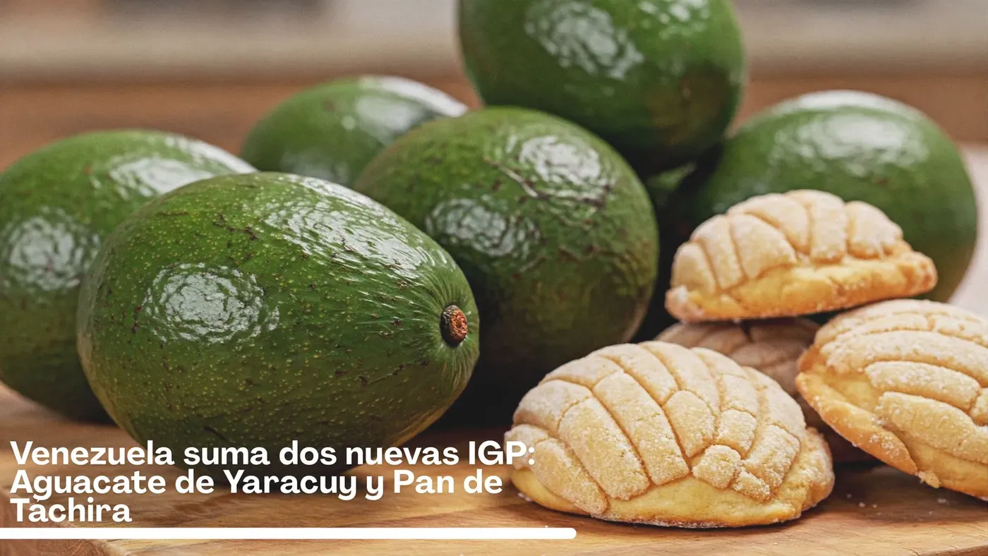 La IGP yaracuyana (que tiene 12 variedades altamente valoradas en el mercado) podría mejorar las oportunidades de venta del aguacate fuera de Venezuela.